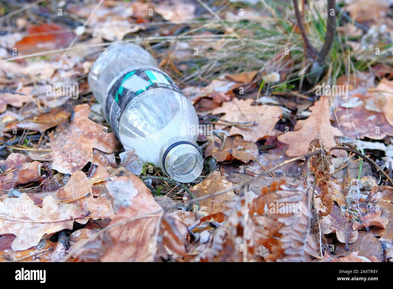 Pollution de l'environnement par les déchets ménagers. Bouteille en plastique posée autour de feuilles brunes dans la forêt. Concept de problèmes environnementaux. Banque D'Images