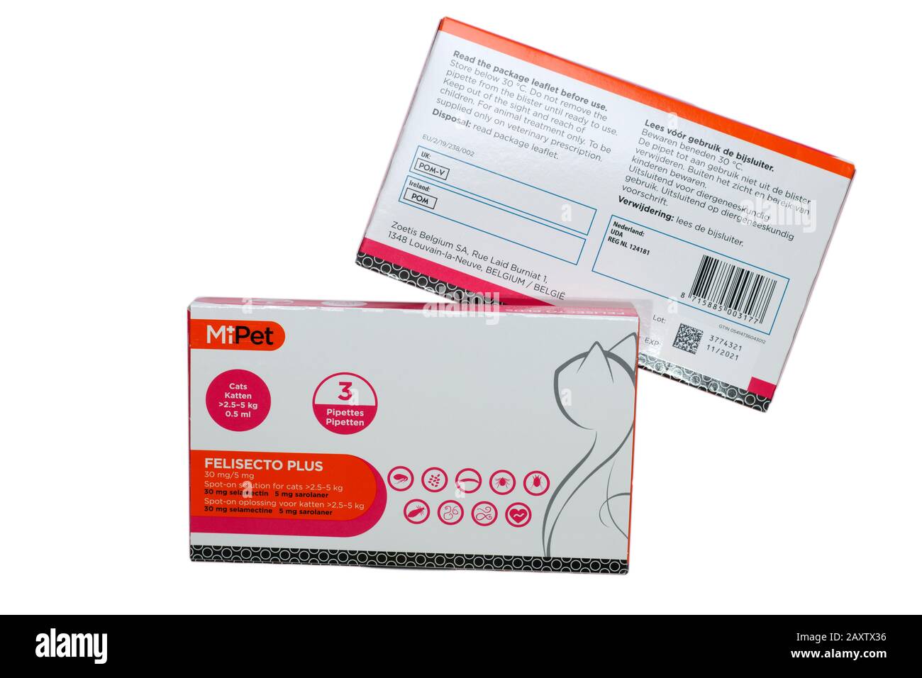 Deux boîtes contenant chacune trois pipettes de MiPet Felisecto plus pour chats pesant de 2,5 à 5 kg traitement des puces Banque D'Images