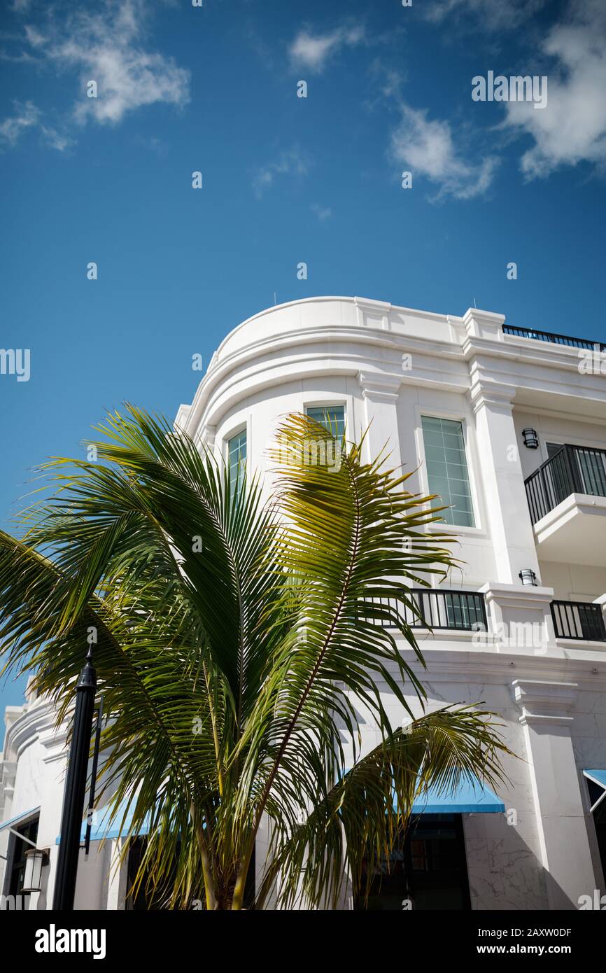 Résidence de luxe en Floride avec palmiers sous le ciel bleu, Naples, Floride Banque D'Images