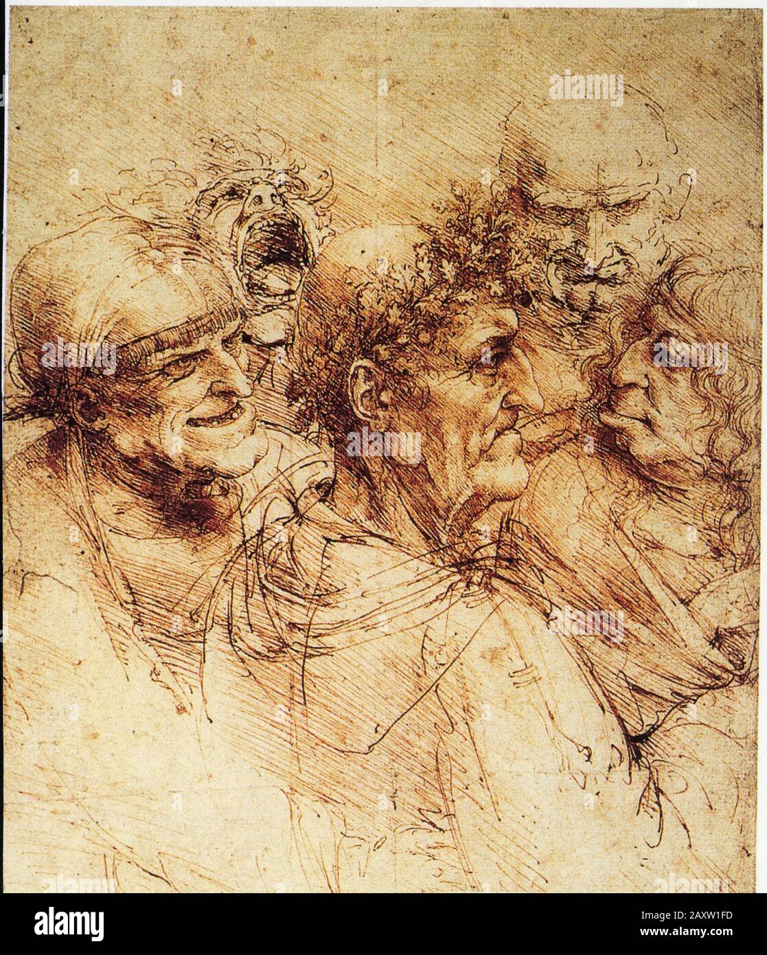 Léonard de Vinci. Cinq têtes grotesques. 1495. Banque D'Images