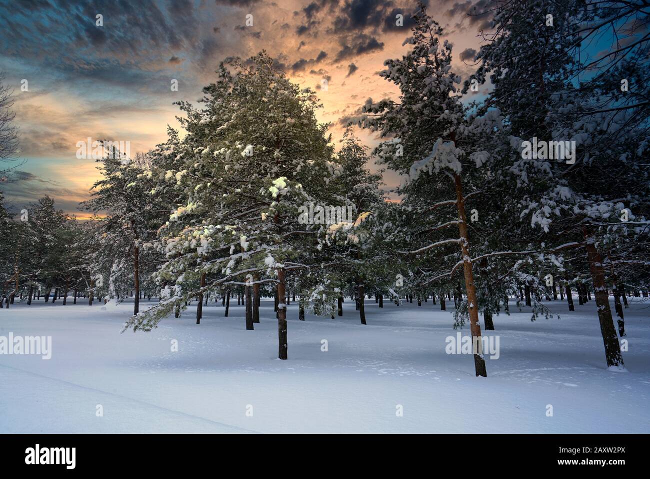 Montréal,Québec,Canada,13 Février 2020.Scènes De Paysage D'Hiver.Montréal,Québec,Canada.Credit:Mario Beauregard/Alay Banque D'Images