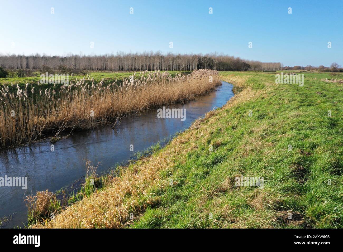 River Nar Au Pentney , Norfolk Banque D'Images