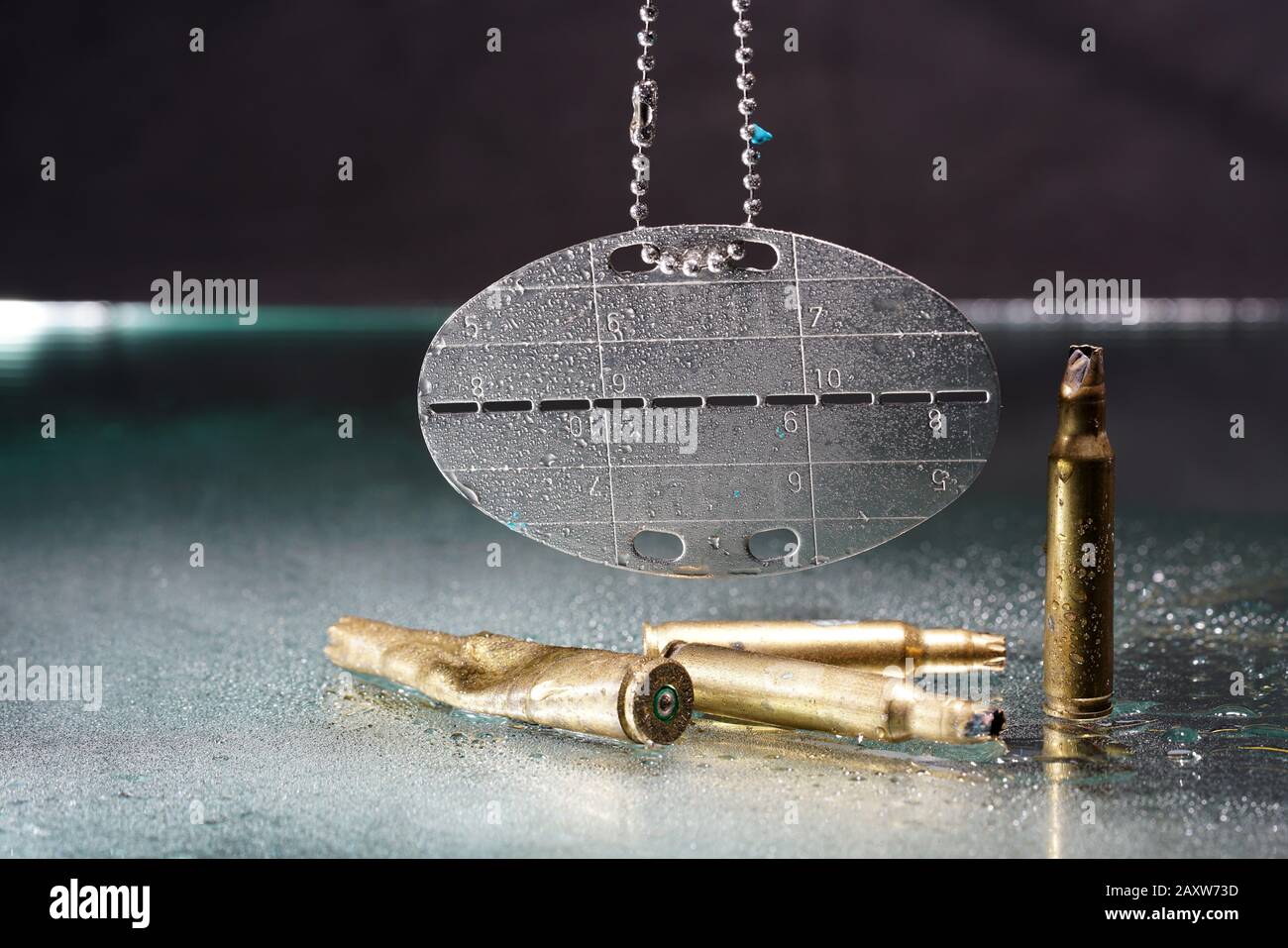 Étiquette chien avec gouttes d'eau et pods de munitions d'entraînement vides photographiés dans le studio Banque D'Images