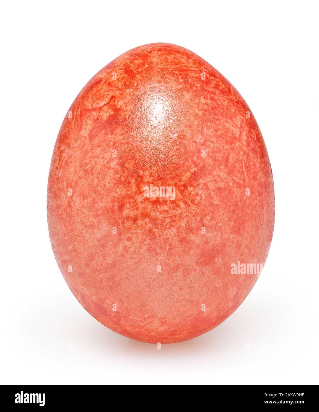 Oeuf de Pâques rouge isolé sur fond blanc avec clipping path Banque D'Images