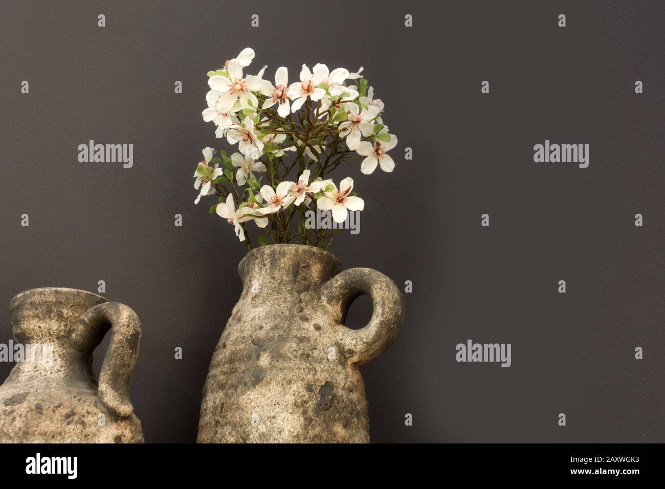 Fleurs blanches dans des pots rustiques en béton à proximité d'un mur gris foncé, design moderne Banque D'Images