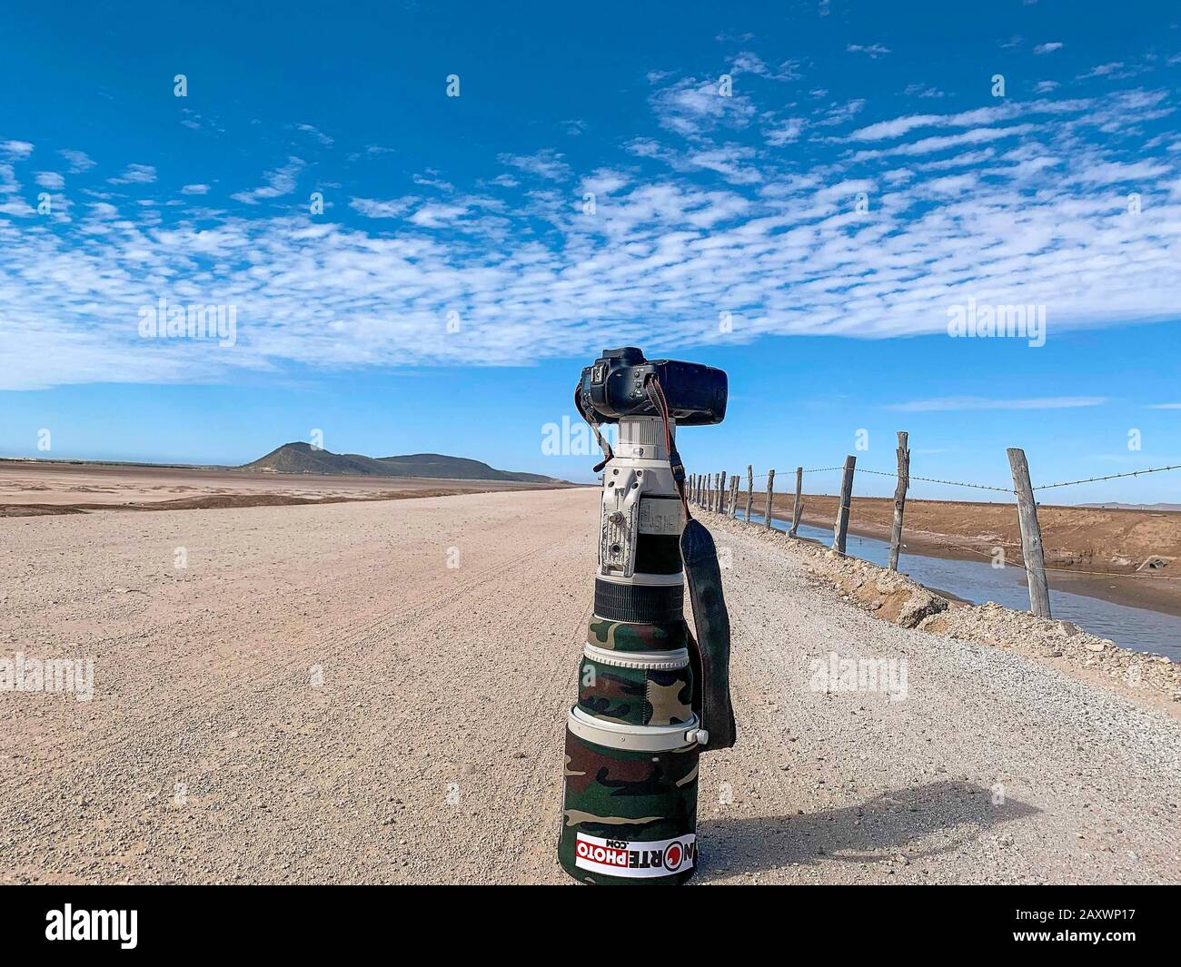 Lit Canon 1dx Mark II avec objectif de 500 mm au milieu du paysage et du  désert sonoreux, le jour ensoleillé. Ciel bleu, chemin de terre, nuages,  horizon, clôture en bois, clôture