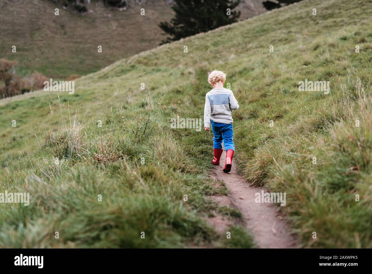 Petit garçon aux cheveux bouclés marchant sur un sentier de flanc de colline Banque D'Images