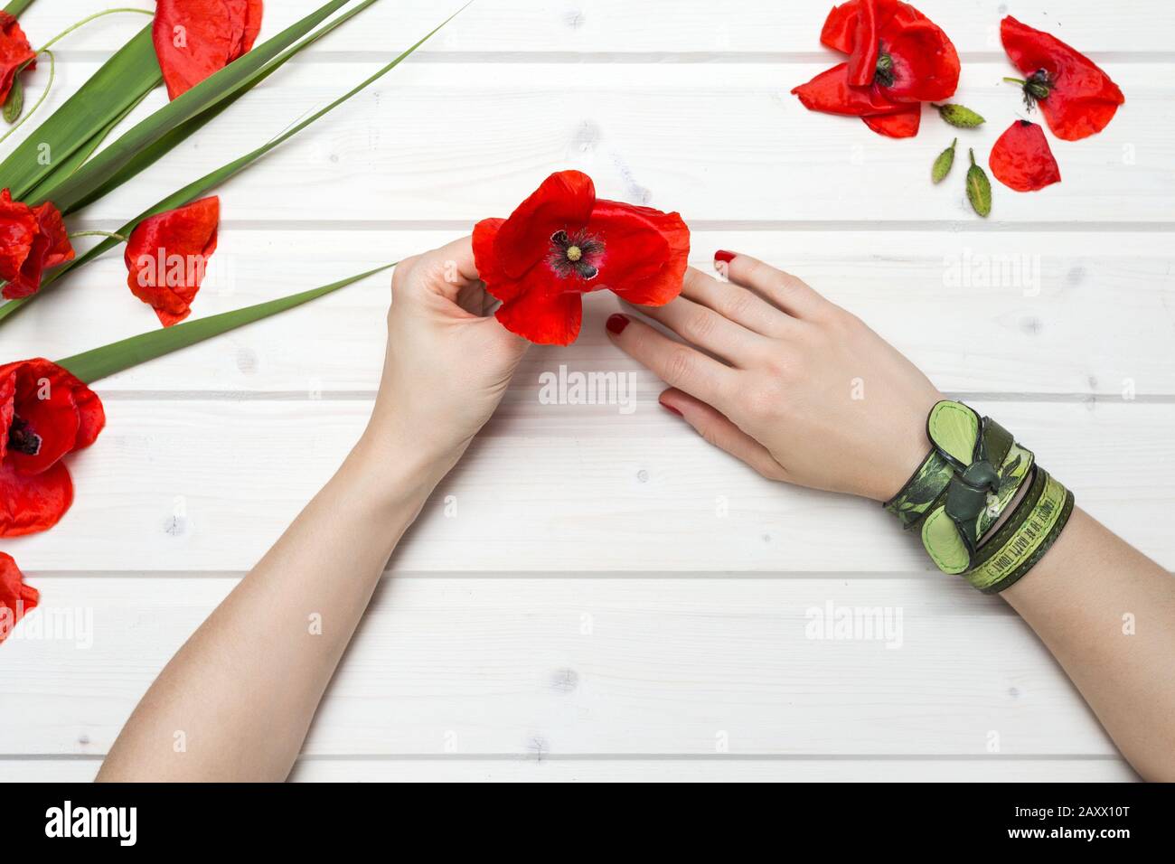 Prise de vue en grand angle d'une personne avec bracelets verts une fleur de pavot rouge Banque D'Images