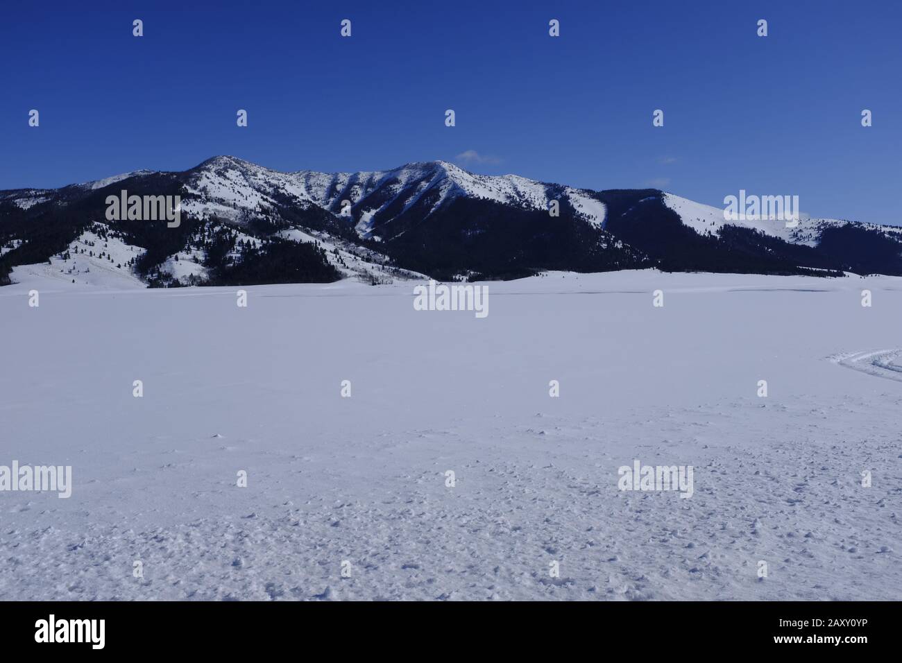 Sawtooth Valley près de Stanley, Idaho avec neige d'hiver Banque D'Images