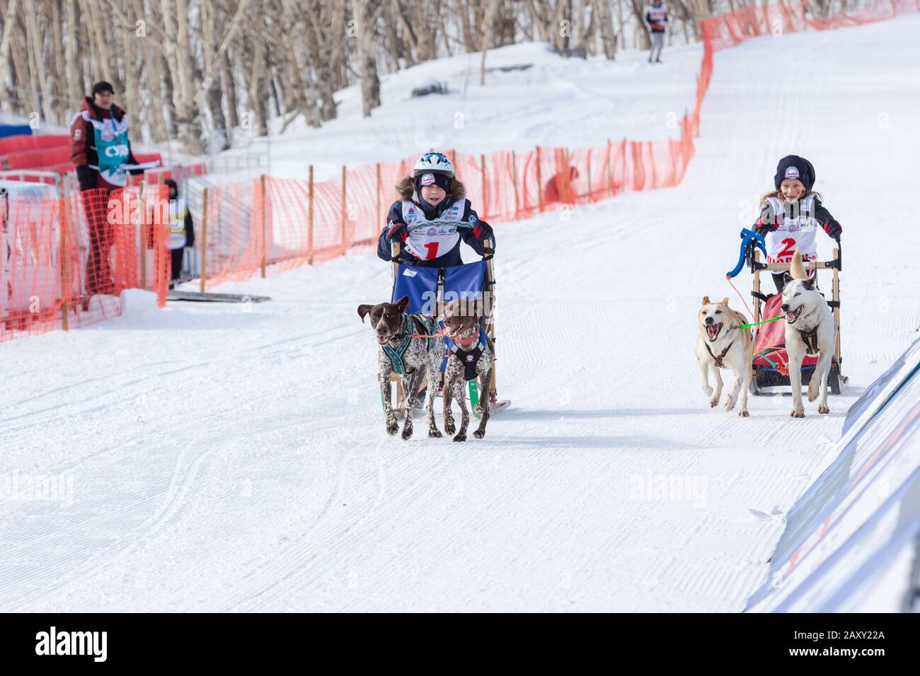 L'équipe de chiens de traîneau qui s'est lancée sur une distance de course enneigée pendant les concours pour enfants Kamchatka Sledge Dog Race Dyulin (Beringia). Petropavlovsk, Banque D'Images