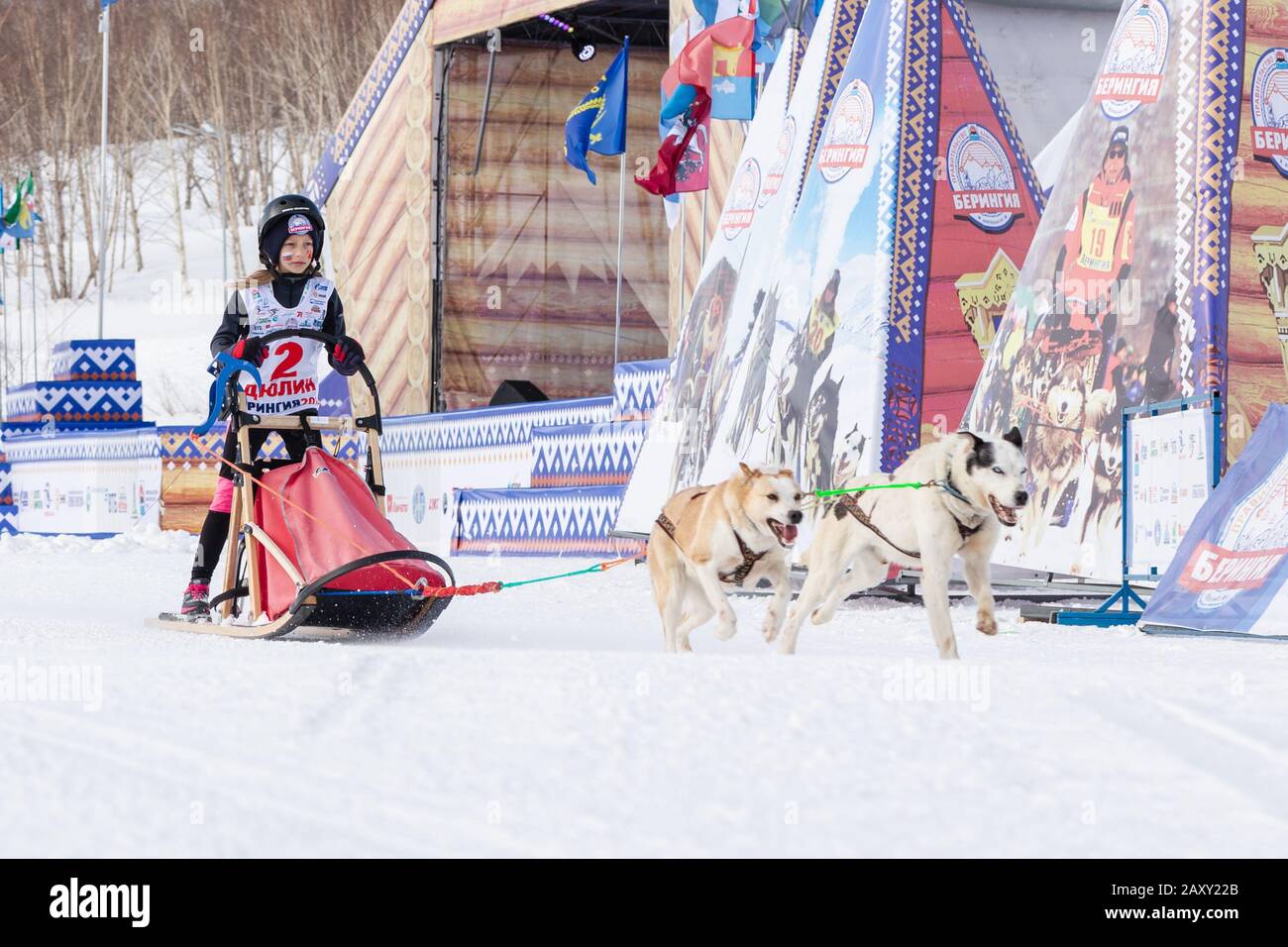 L'équipe féminine de chiens de traîneau à chiens, qui s'exécute sur la distance enneigée de la course pendant les concours pour enfants Kamchatka Sledge Dog Race Dyulin (Beringia). Petropavlovsk Banque D'Images