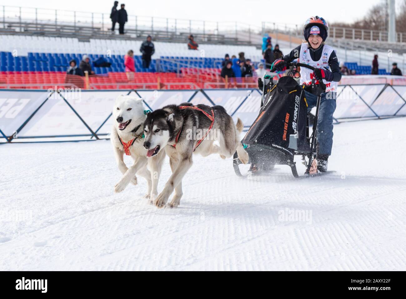 L'équipe féminine de chiens de traîneau à chiens, courir sur la distance enneigée de course pendant Kamchatka Kids Competitions Sledge Dog Racing Dyulin (Beringia). Petropavlovsk Banque D'Images