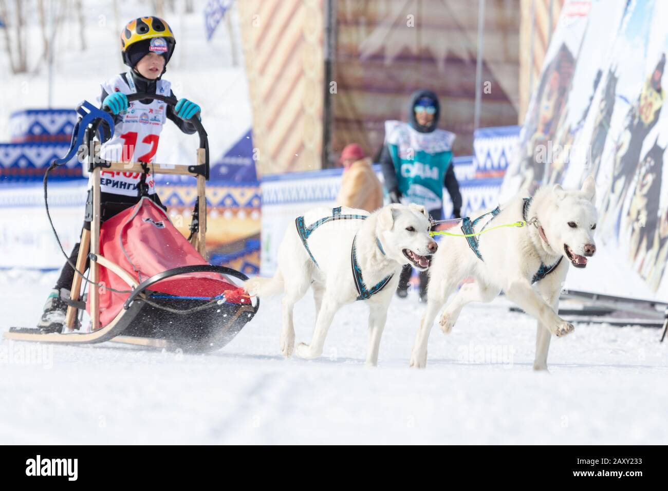 L'équipe féminine de chiens de traîneau à chiens, courir sur la distance enneigée de course pendant Kamchatka Kids Competitions Dog Sledge Racing Dyulin (Beringia). Petropavlovsk Banque D'Images