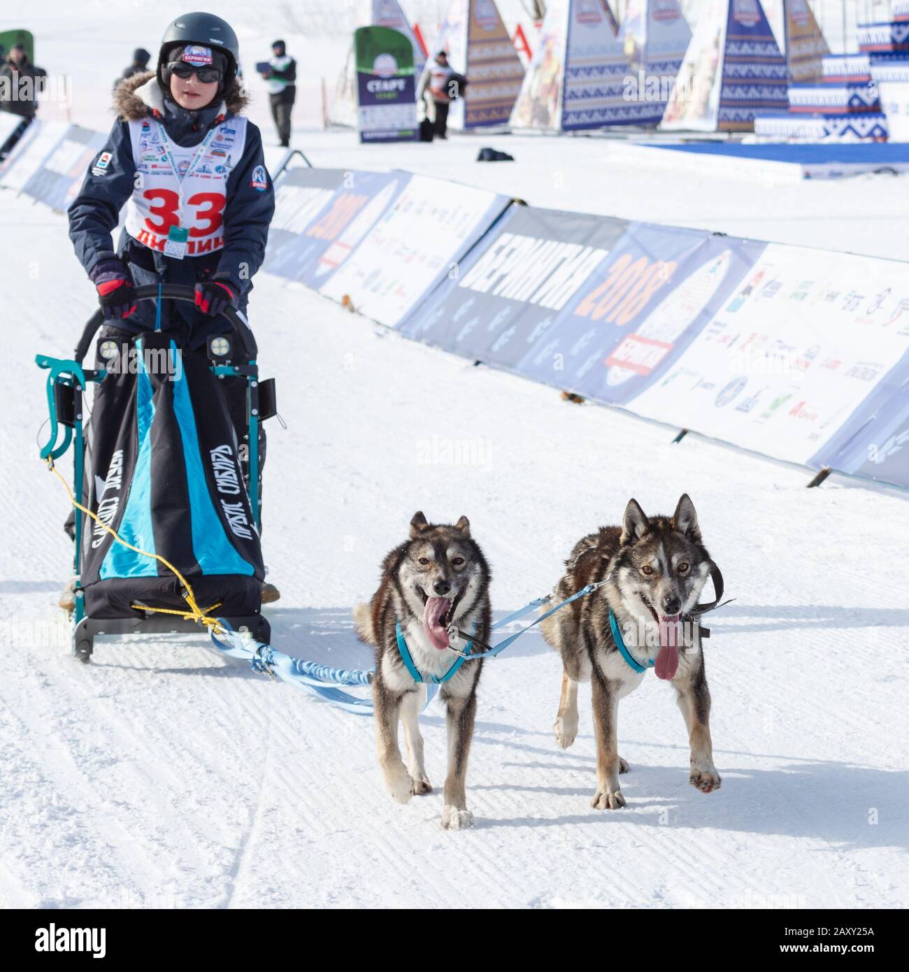 L'équipe masculine de chiens de traîneau à chiens, courir sur la distance enneigée de course pendant Kamchatka Kids Competitions Dog Sledge Racing Dyulin (Beringia). Petropavlovsk Banque D'Images