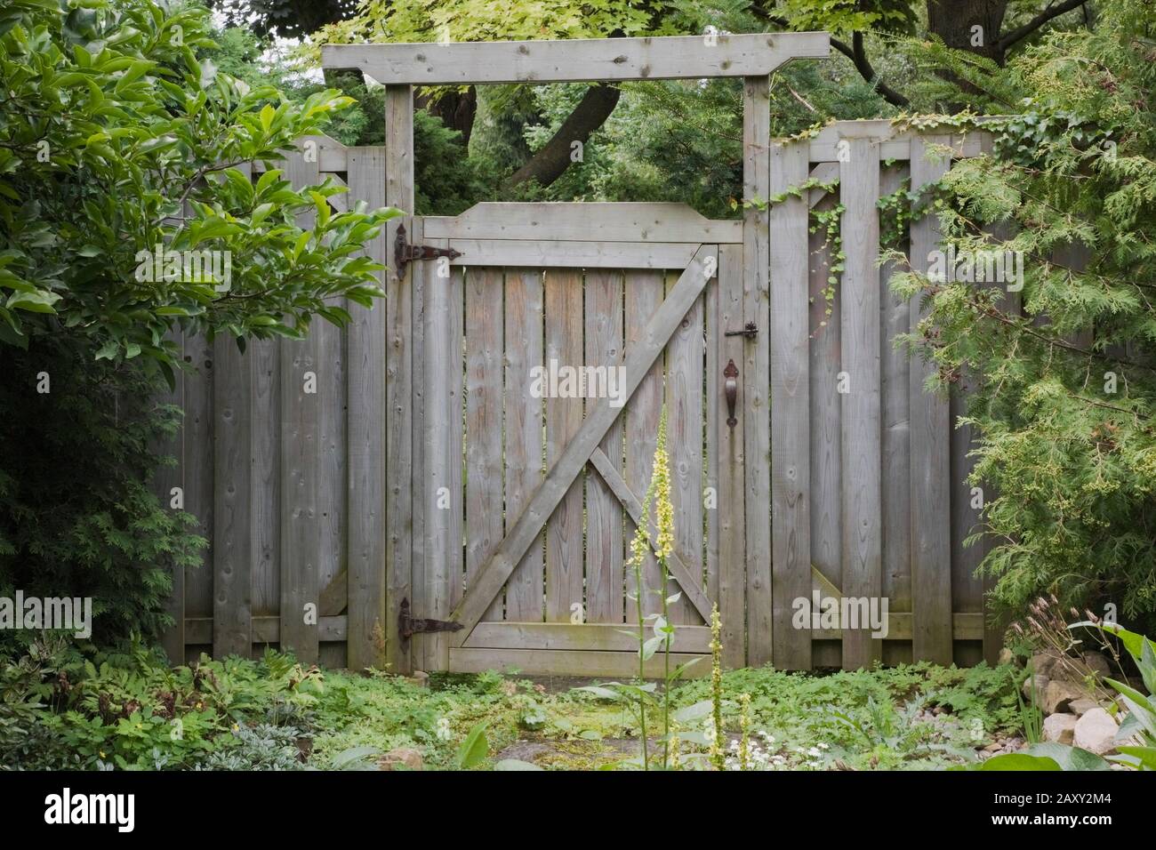 Ancienne porte de clôture en bois gris dans le jardin de l'arrière-cour en été. Banque D'Images