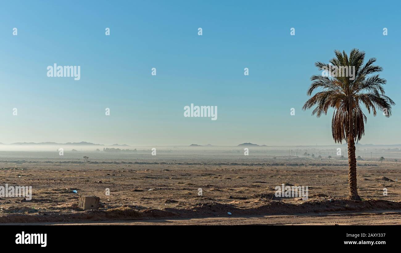 Brume du désert en début de matinée Banque D'Images