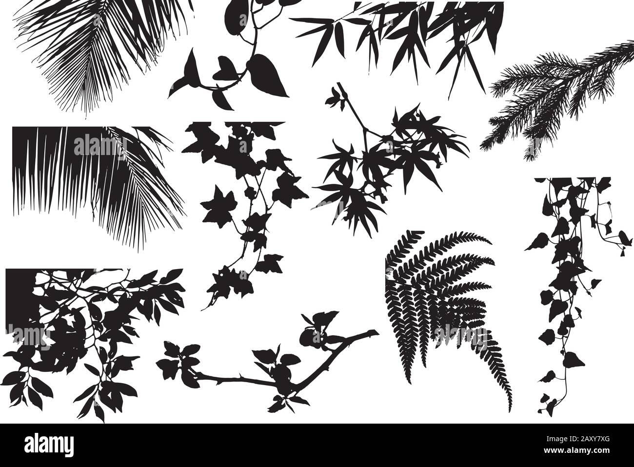 Collection de plantes suspendues Illustration de Vecteur