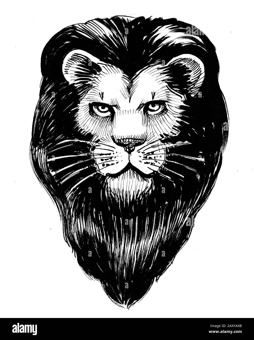 Lion Illustrations Croquis Dessin En Noir Et Blanc De La Tete D Animaux Photo Stock Alamy Lion Illustrations Croquis Dessin En Noir Et Blanc De La Tete D Animaux Photo Stock Alamy