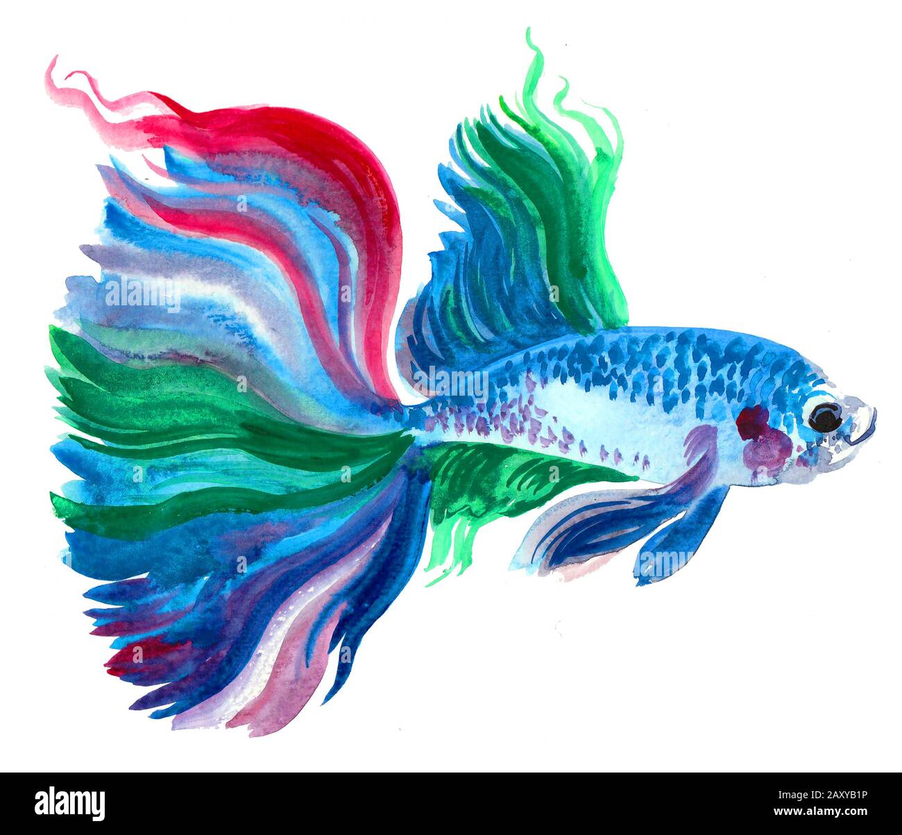 Poisson bleu aquarium. Peinture aquarelle Banque D'Images