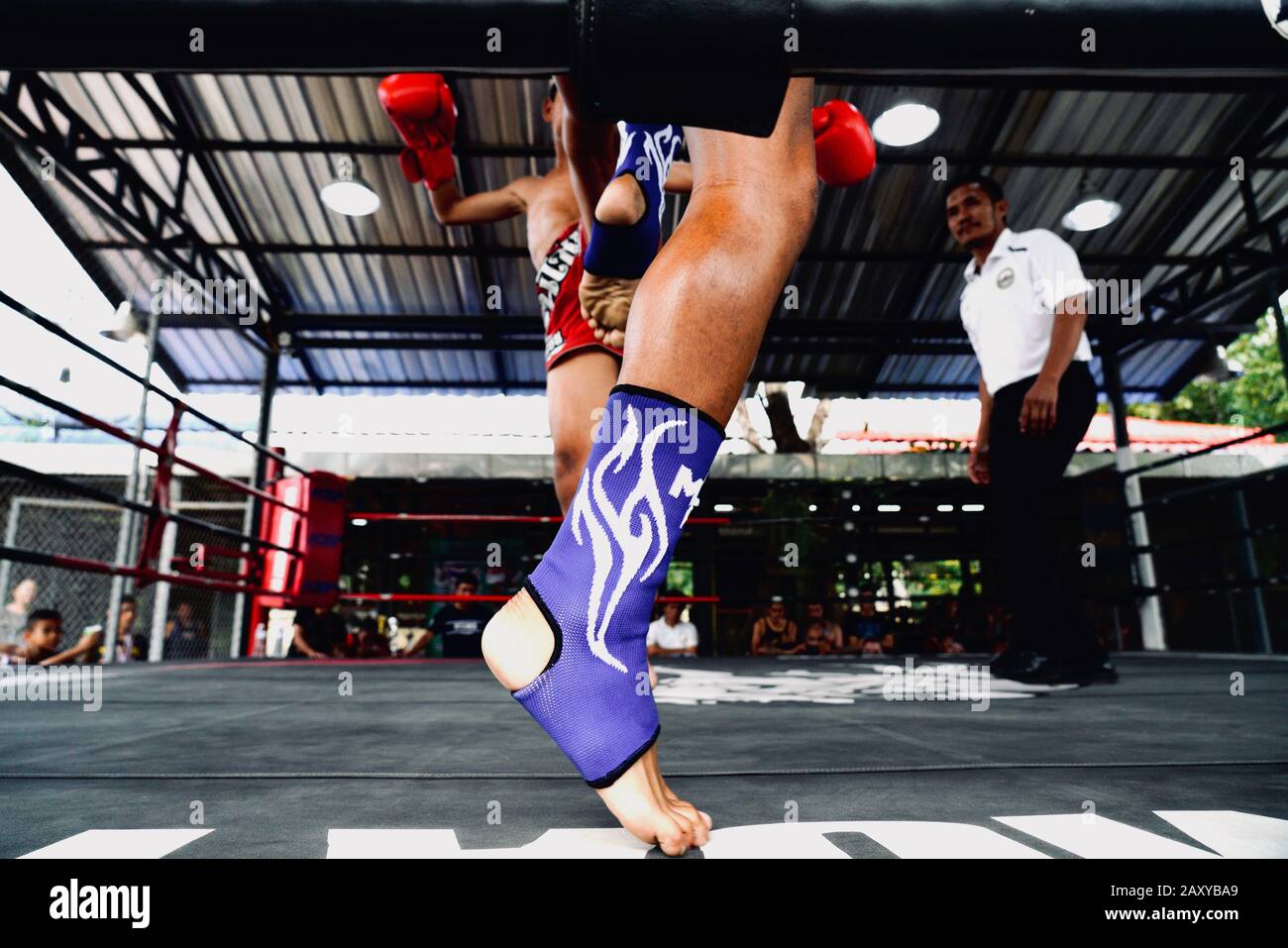 Concours de lutte contre les enfants de Muay Thai à Ayutthaya, Thaïlande Banque D'Images