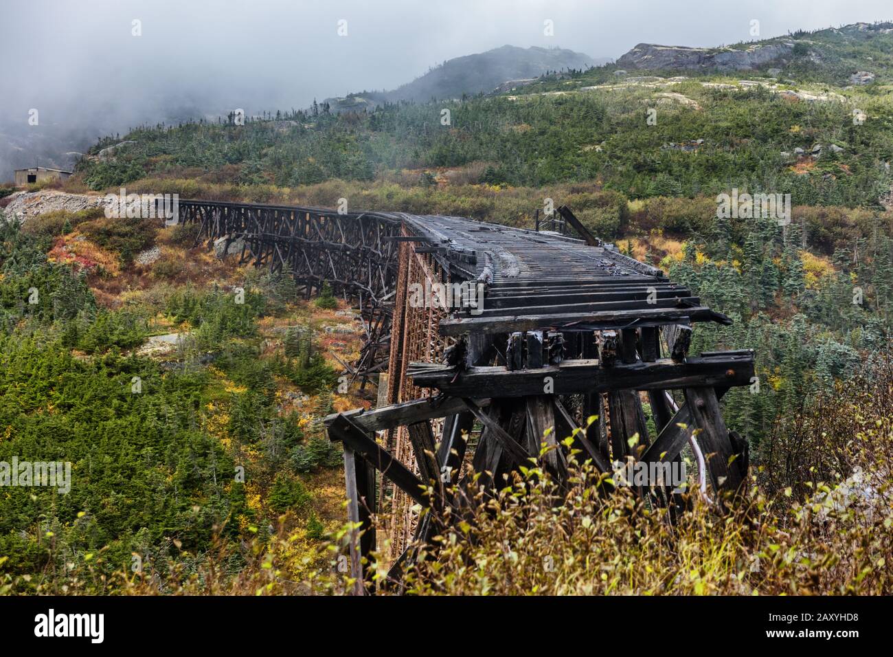 Ancien pont en acier sur White Pass et Yukon route chemin de fer, Skagway, Alaska, États-Unis. Construit en 1901. Célèbre attraction touristique lors de l'excursion en bord de mer en croisière. Banque D'Images