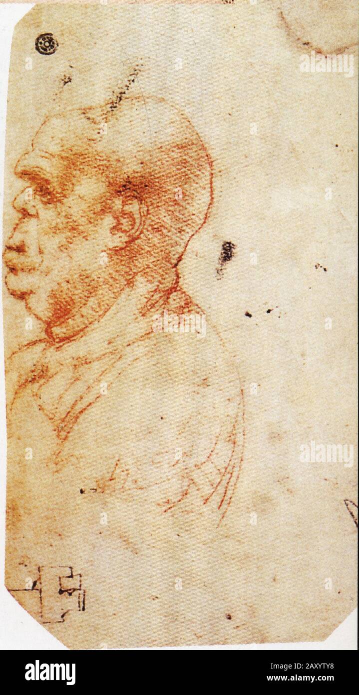 Léonard de Vinci. Etude d'un Vieux Man. 1490-1495. Banque D'Images