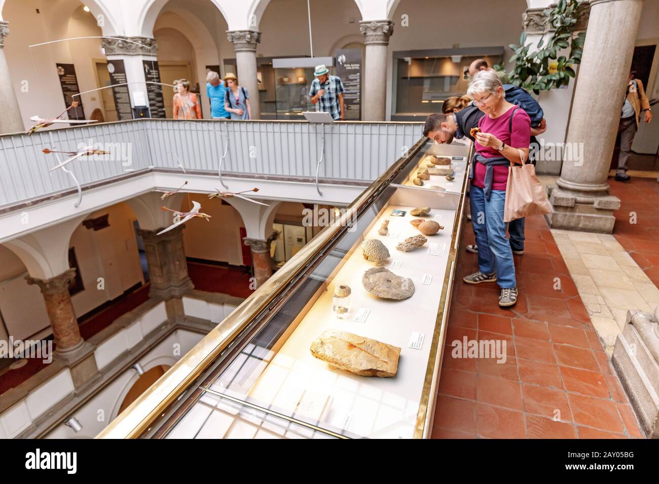 07 août 2019, Munich, Allemagne: Les visiteurs et les étudiants étudient des organismes préhistoriques paléontologiques exposés au Musée Banque D'Images