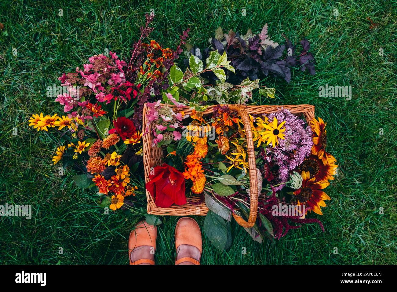Vue aérienne d'une fille debout par un panier rempli de fleurs fraîchement cueillies, États-Unis Banque D'Images