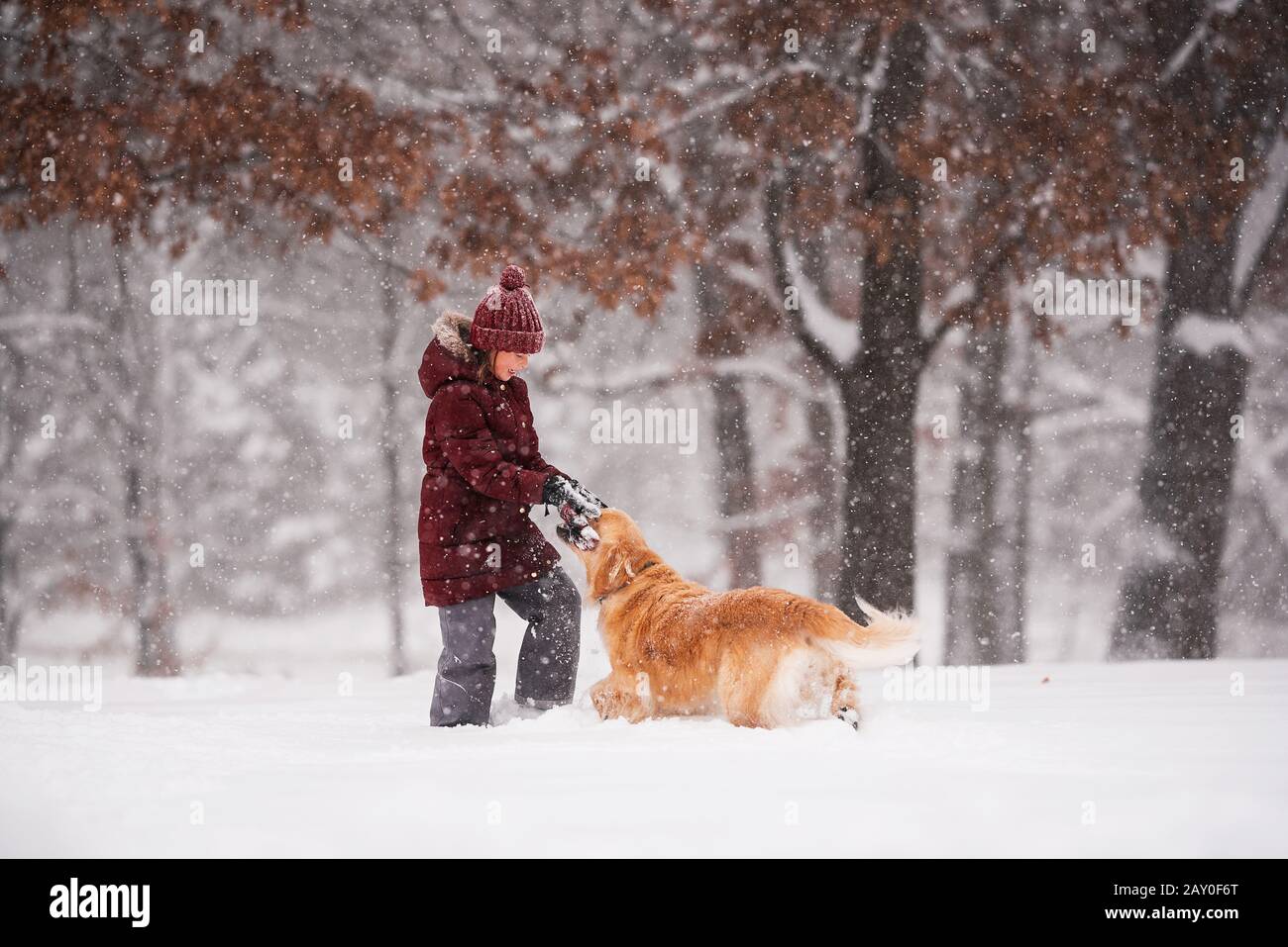 Fille debout dans la neige jouant avec son chien d'or de retriever, Wisconsin, États-Unis Banque D'Images