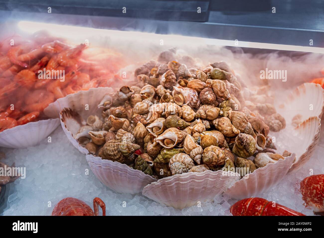 Petits buccs ou escargots frais à vendre sur le marché français des fruits de mer local Banque D'Images