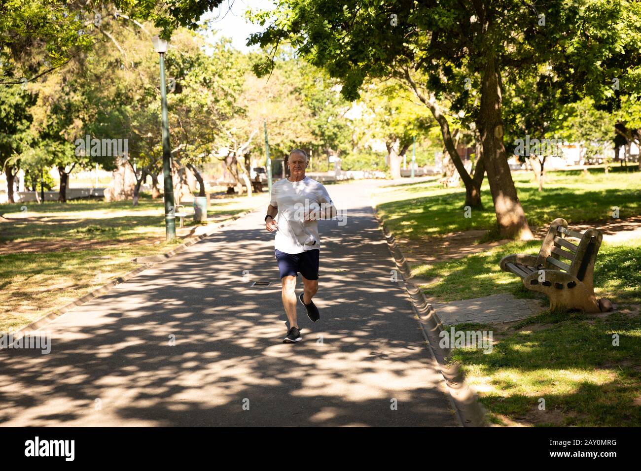 Jogging dans le parc Banque D'Images