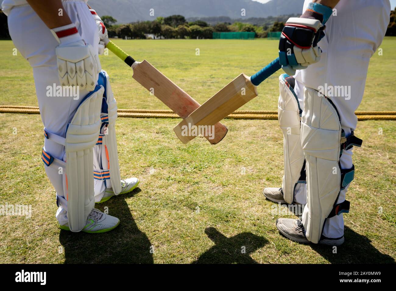 Les joueurs de cricket font face à face sur un terrain Banque D'Images