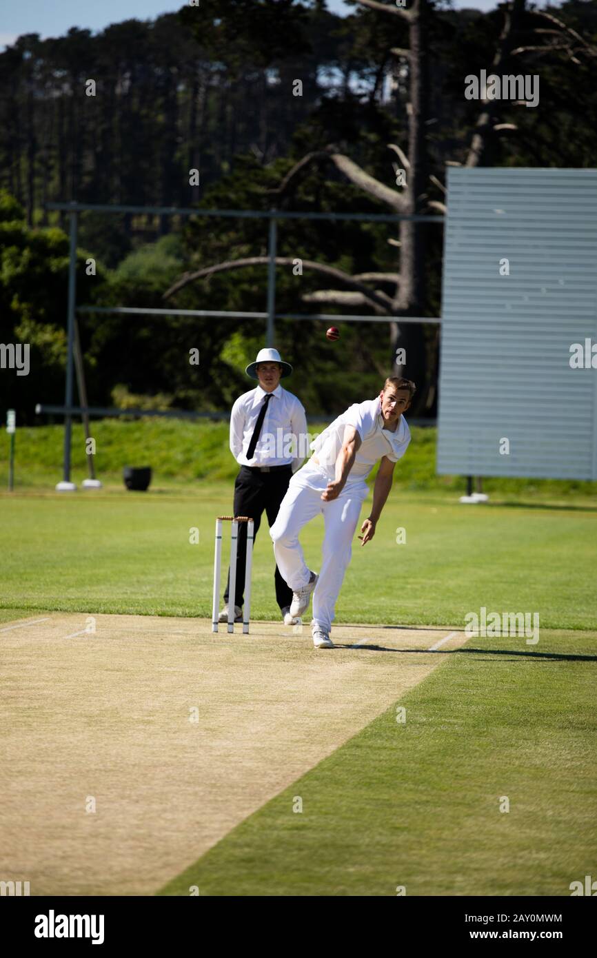 Entraînement des joueurs de cricket sur le terrain Banque D'Images