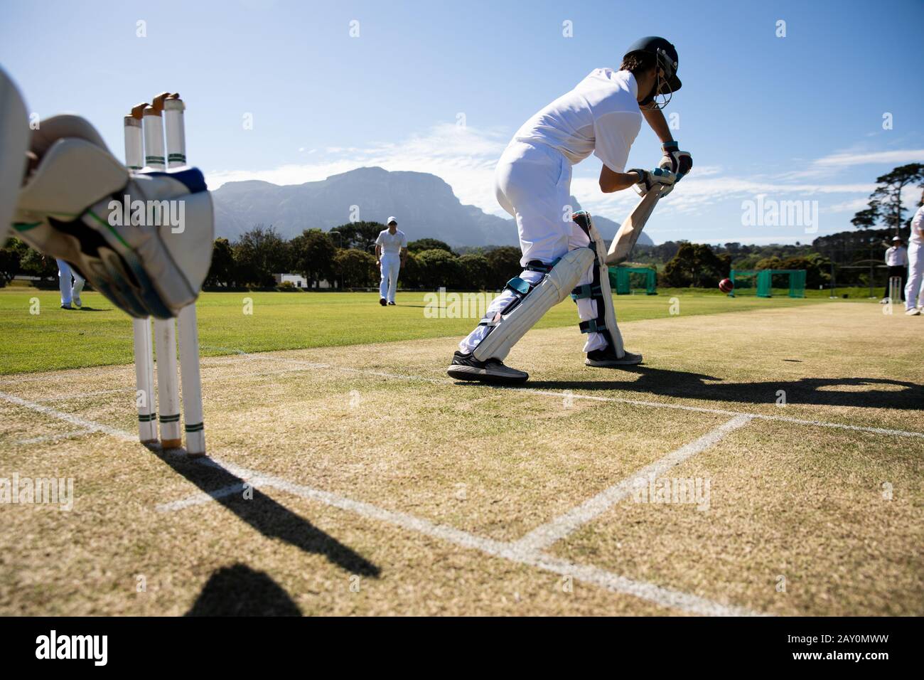 Entraînement des joueurs de cricket sur le terrain Banque D'Images
