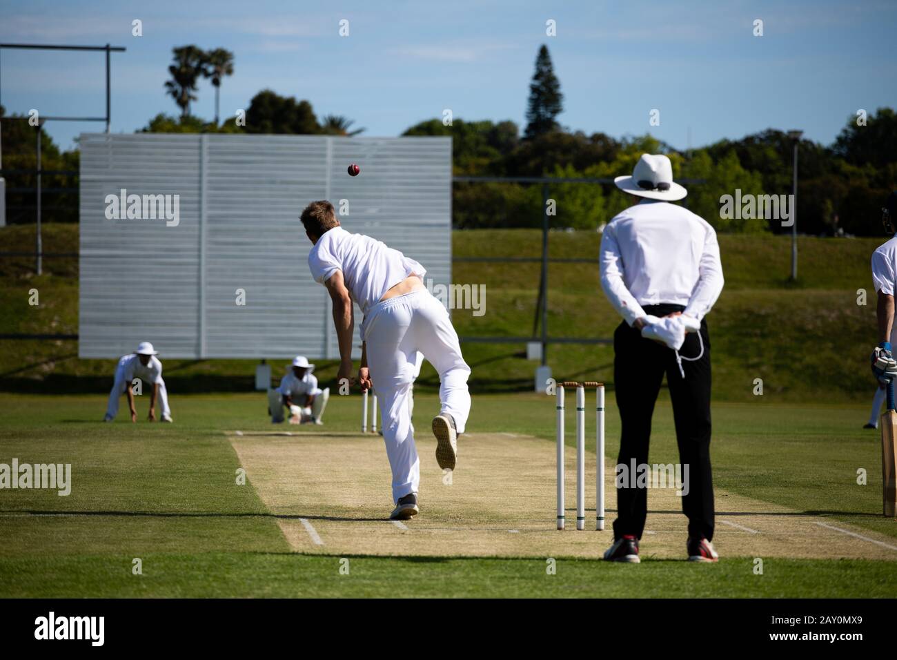 Entraînement des joueurs de cricket sur le terrain Banque D'Images