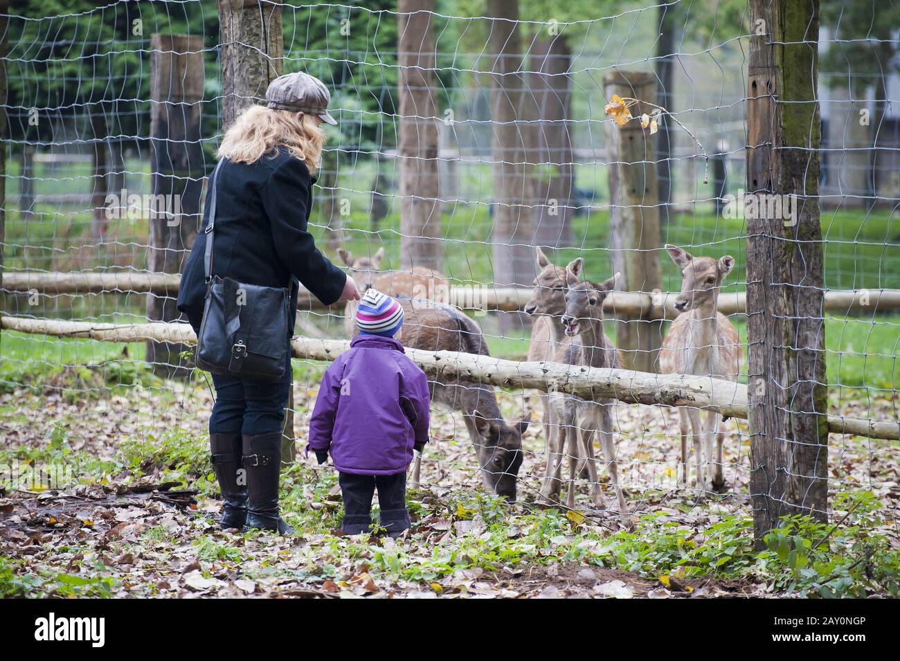 Enfants et animaux Banque D'Images