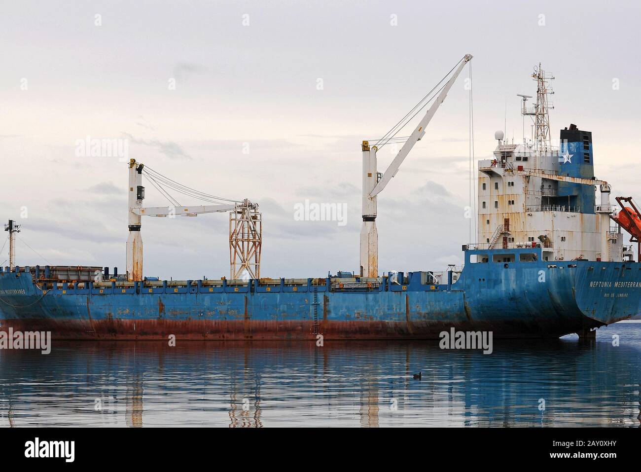 Neptunia Mediterraneo, Containerschiff Banque D'Images