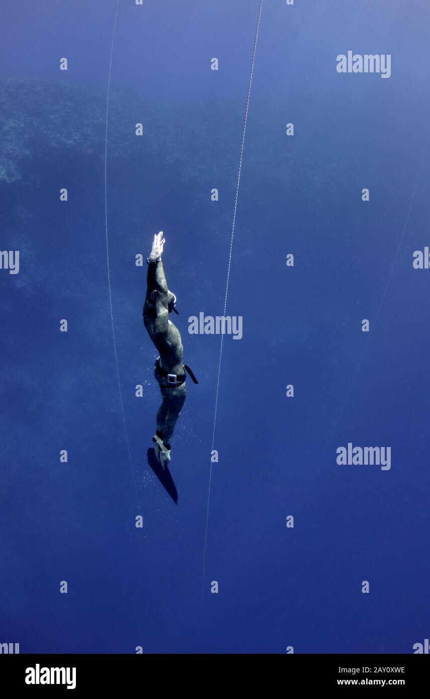 Le freediver revient de la plongée profonde Banque D'Images