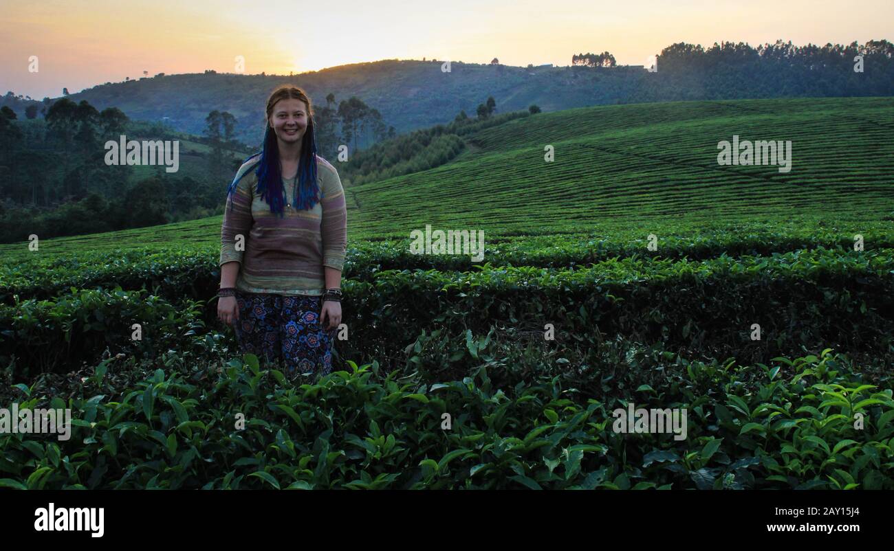 Une jeune femme blanche caucasienne souriante aux queues de porc bleues se dresse au coucher du soleil sur un terrain avec buissons fleuris de thé. L'élevage et la plantation de thé en Inde Banque D'Images