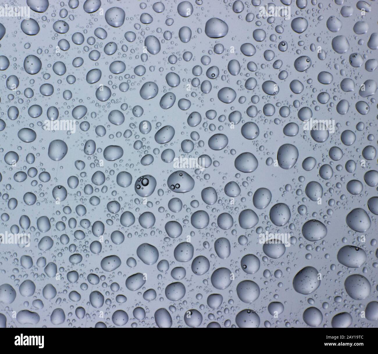 Gouttes d'eau sur verre transparent. Fond de fenêtre avec rosée. Banque D'Images