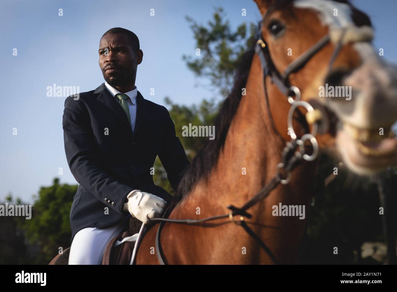 L'homme à cheval de dressage le jour ensoleillé Banque D'Images