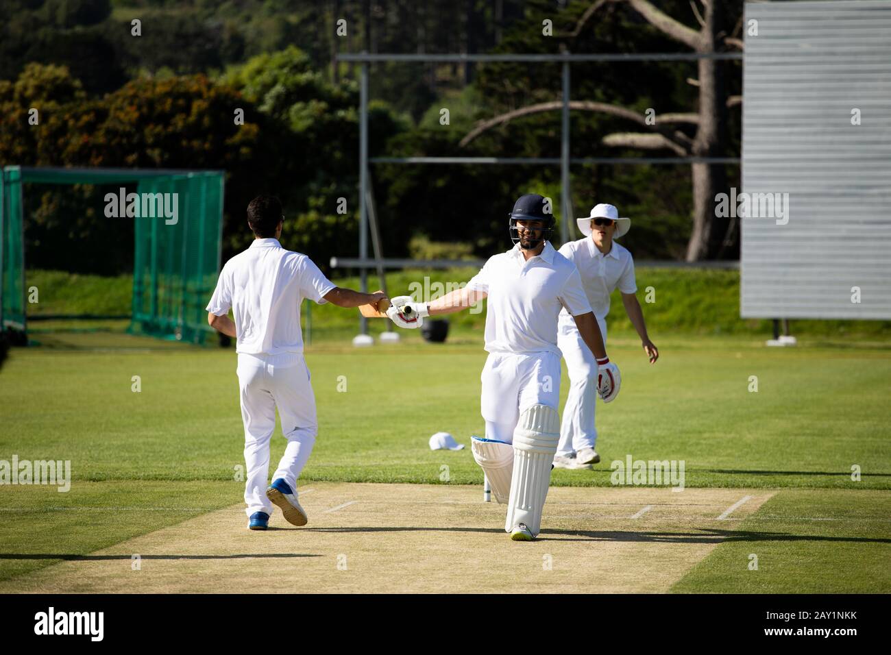 Les joueurs de cricket font un chèque Banque D'Images