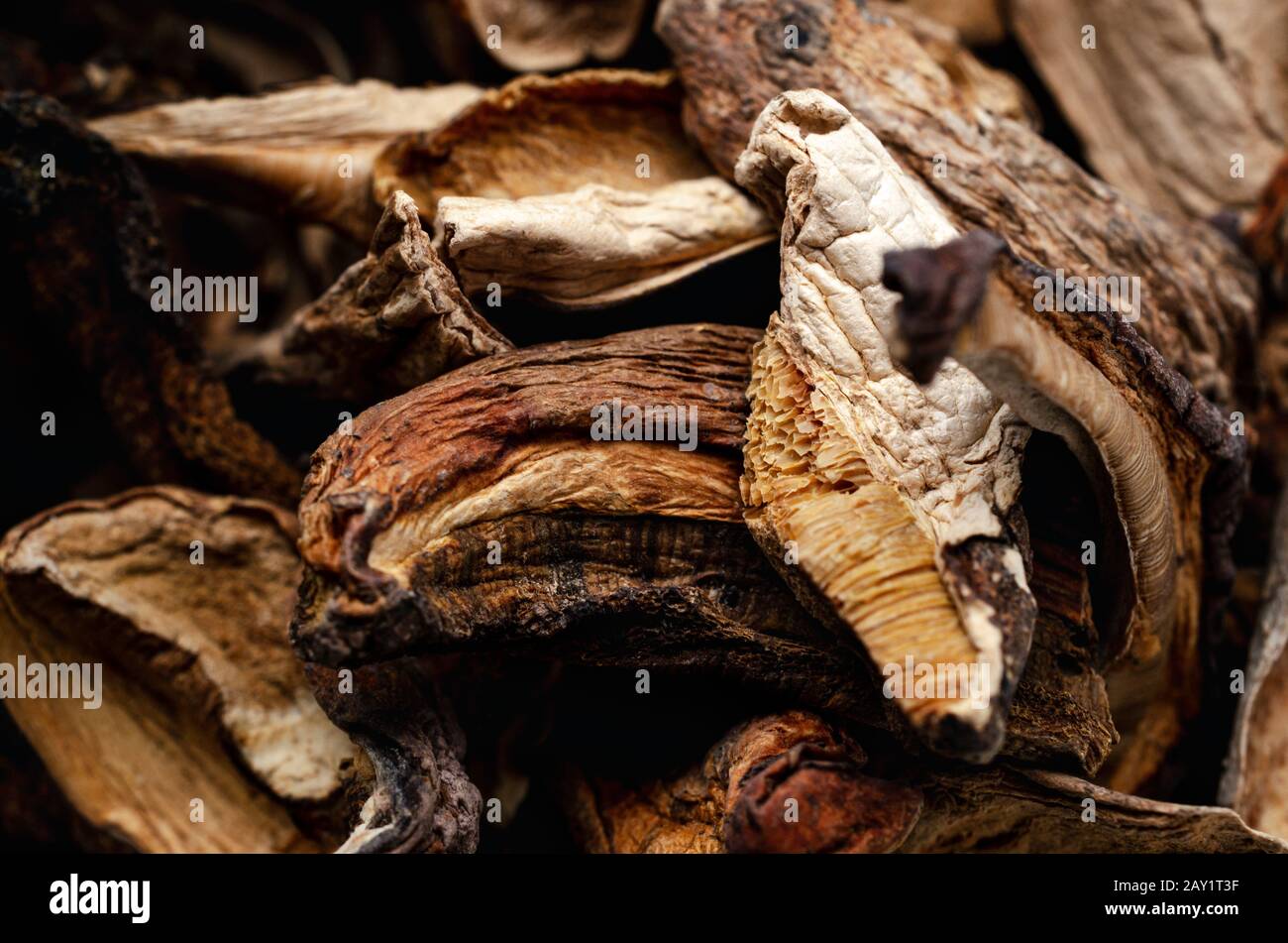 Gros plan (macro) de champignons porcini séchés empilés ensemble. Banque D'Images