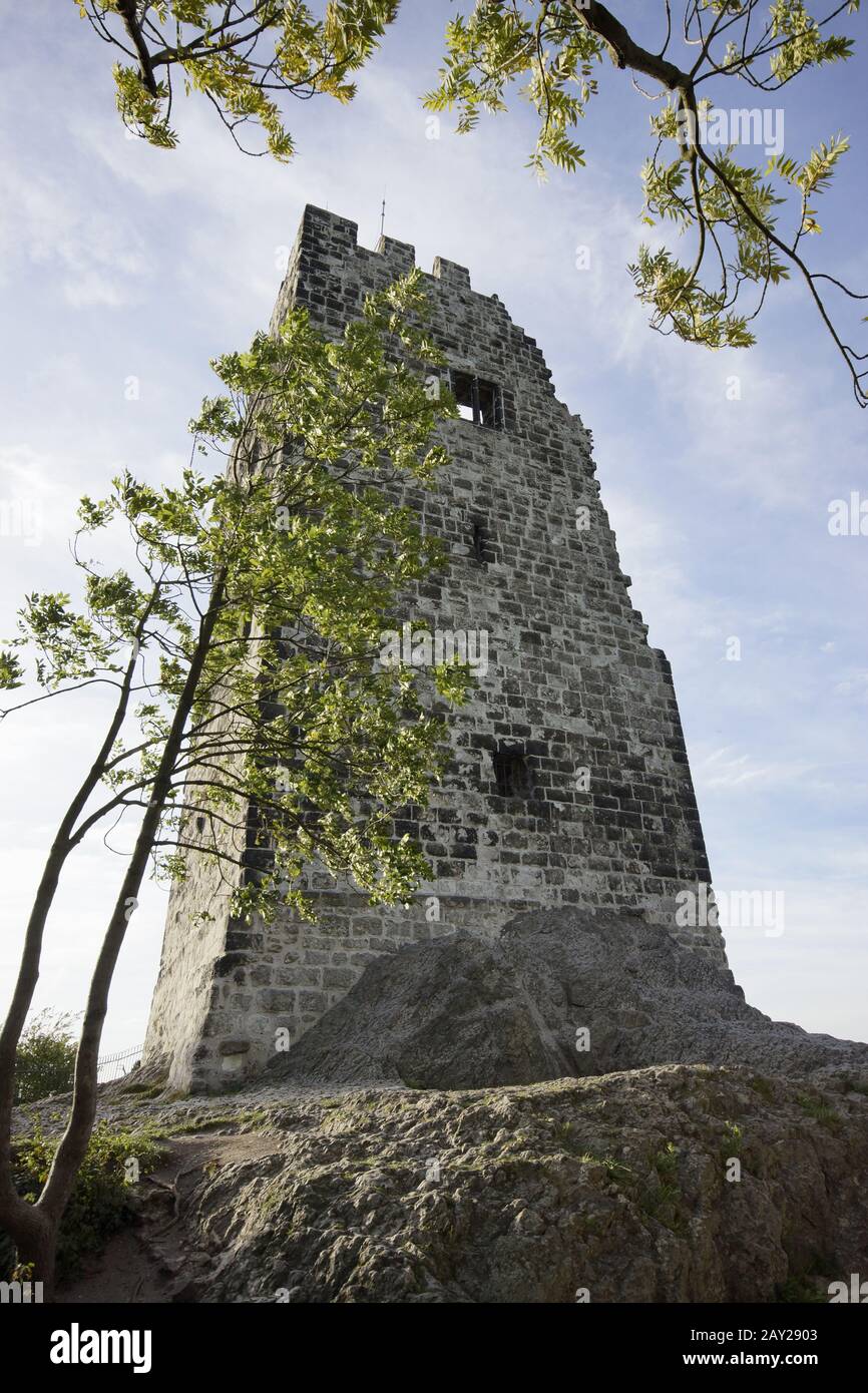 Château-ruine Drachenfels, Siebengebirge, Koenigswin Banque D'Images