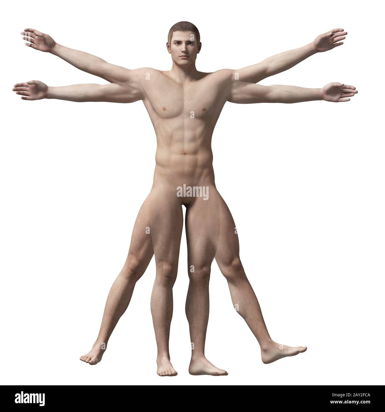 homme de Vitruve Banque D'Images