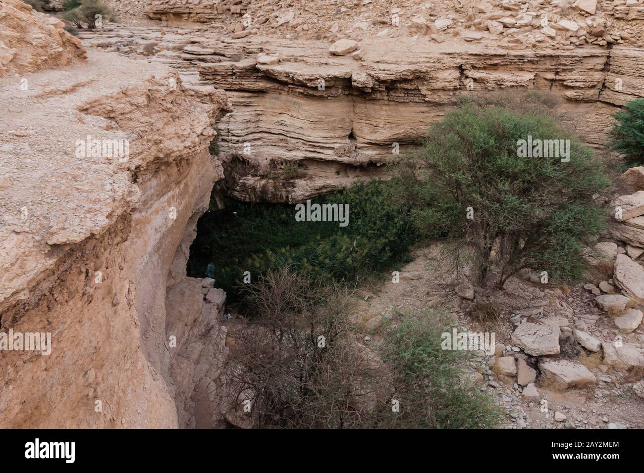 La piscine principale de Sha'ib Luha - un étang naturel permanent d'eau douce près de Riyad, en Arabie Saoudite Banque D'Images