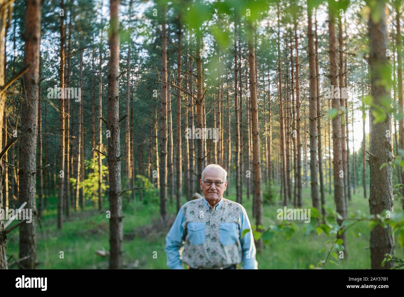 Senior man in forest Banque D'Images