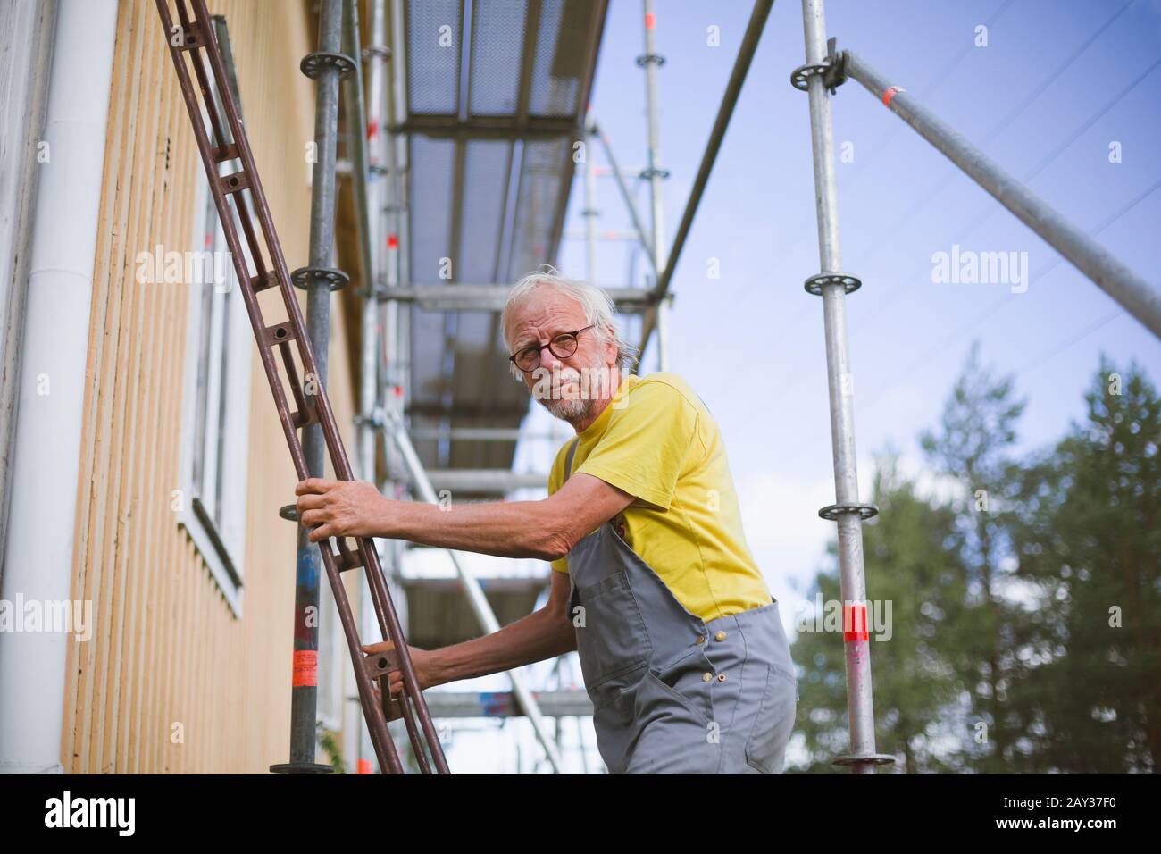 Homme senior debout sur l'échelle Banque D'Images