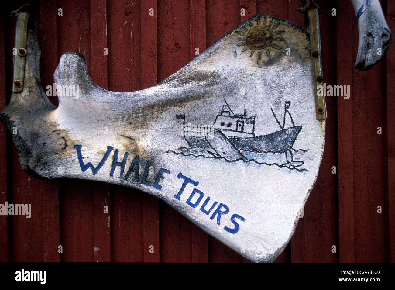 Visites de wale à Stoe, île de Langoya, Vesteralen, Norvège Banque D'Images