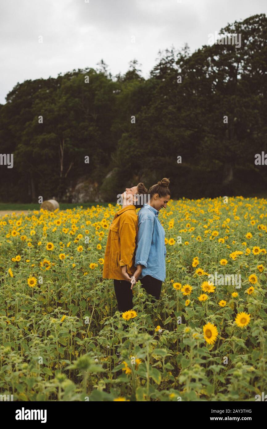 Couple sur champ de tournesol fleuri Banque D'Images